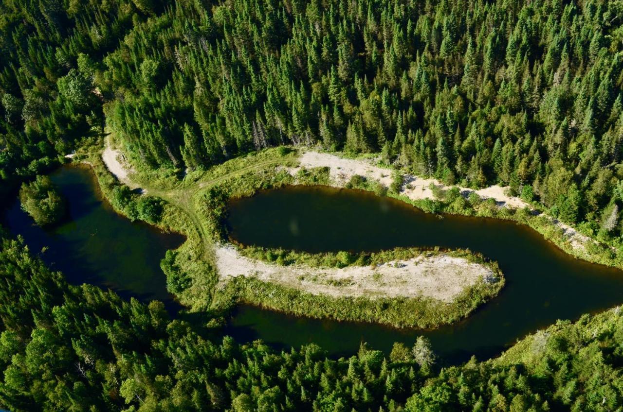 Le Chalet De Claude, Au Pied Des Monts-Valin Saint-David-de-Falardeau Eksteriør bilde