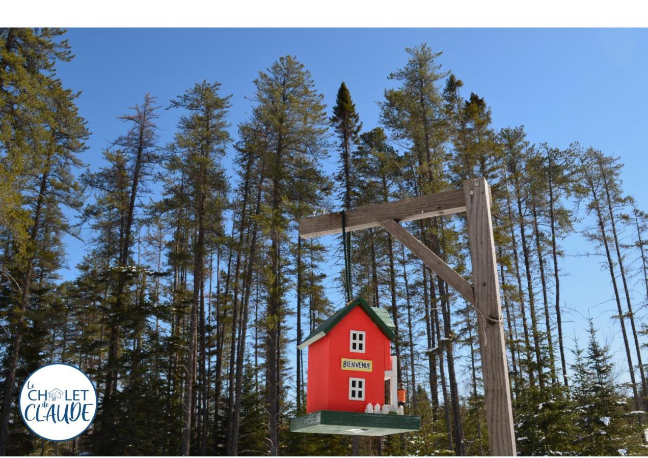 Le Chalet De Claude, Au Pied Des Monts-Valin Saint-David-de-Falardeau Eksteriør bilde